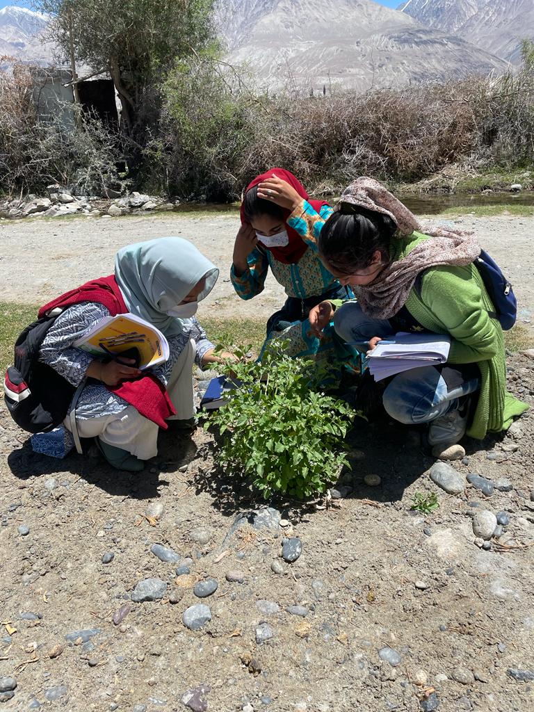 GDC Nubra organises one-day field trip to Diskit village GDC Nubra organises one-day field trip to Diskit village - Ladakh News - indusdispatch.in