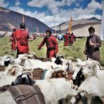 Ladakh Nomadic Festival concludes with a colourful ceremony. See Pics - Ladakh News - indusdispatch.in
