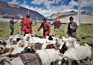 Ladakh Nomadic Festival concludes with a colourful ceremony. See Pics - Ladakh News - indusdispatch.in