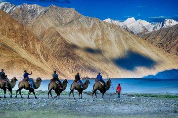 10 Amazing Leh-Ladakh Experiences You Just Cannot Miss - Explore Ladakh - indusdispatch.in