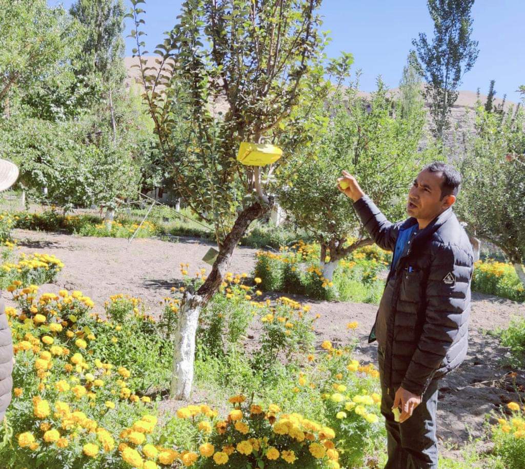 Agriculture & Horticulture Dept, Ravinder Kumar visits horticulture nursery farm at Saspol Agriculture & Horticulture Dept, Ravinder Kumar visits horticulture nursery farm at Saspol - Ladakh News - indusdispatch.in