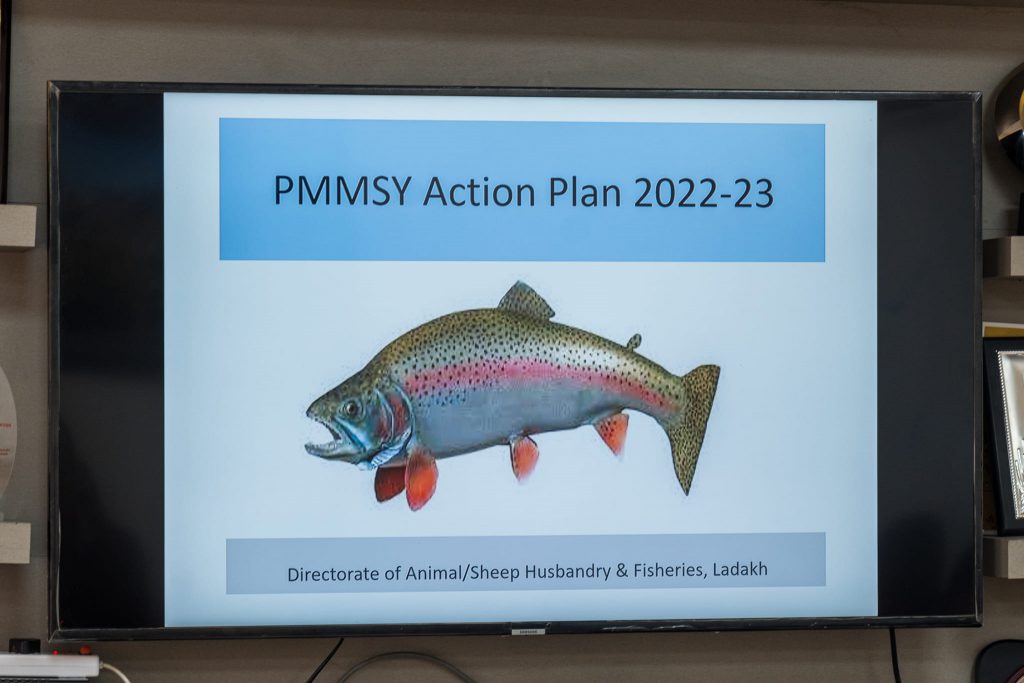 Ladakh admin plans to promote local trout fish under PMMSY scheme - Ladakh News - indusdispatch.in