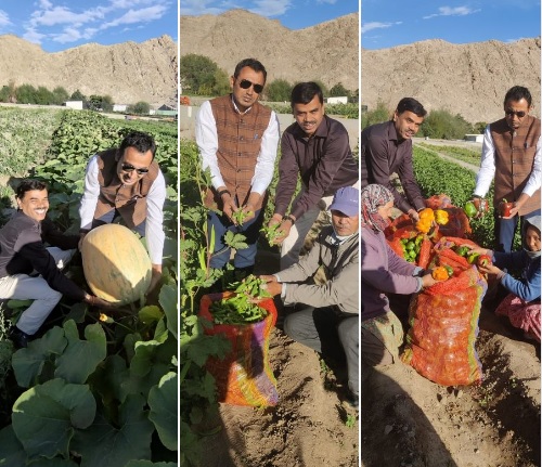 Secretary Agri lauds Organic Vegetable Export potential of Ladakh Secretary Agri lauds Organic Vegetable Export potential of Ladakh - Ladakh News - indusdispatch.in