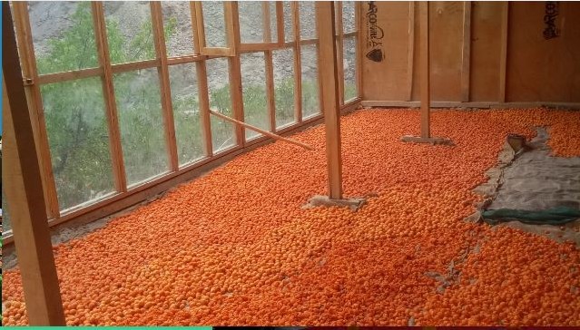 Since Ladakh become UT, Kargil provides 1099 greenhouses to beneficiaries