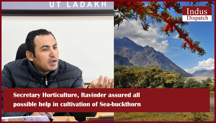Secretary Horticulture, Ravinder assured all possible help in cultivation of Sea-buckthorn