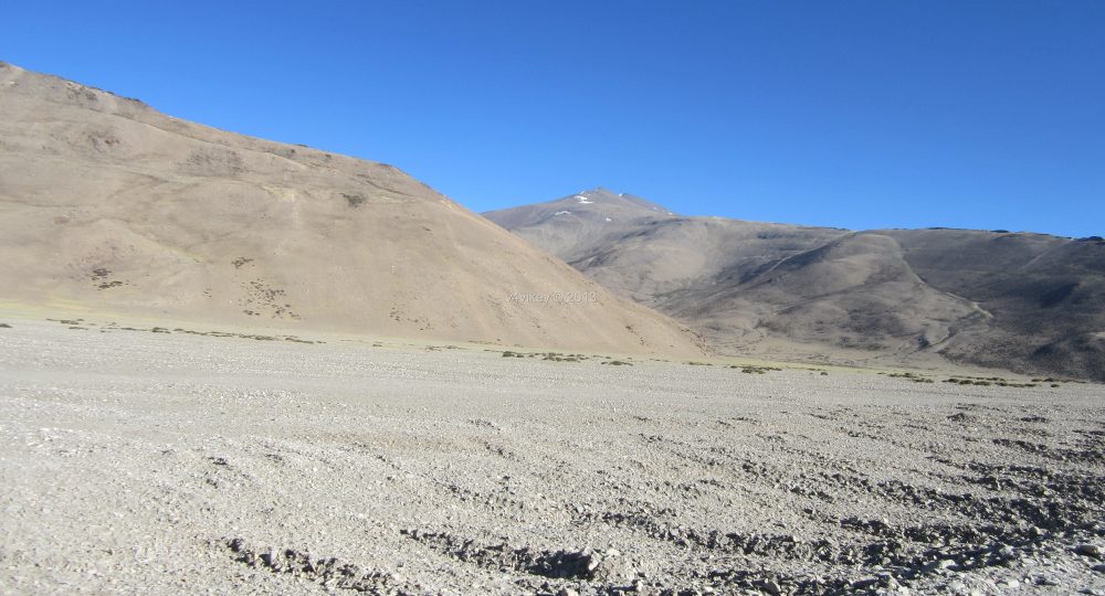 Ladakh: Overexploitation of natural resources contributing to soil degradation