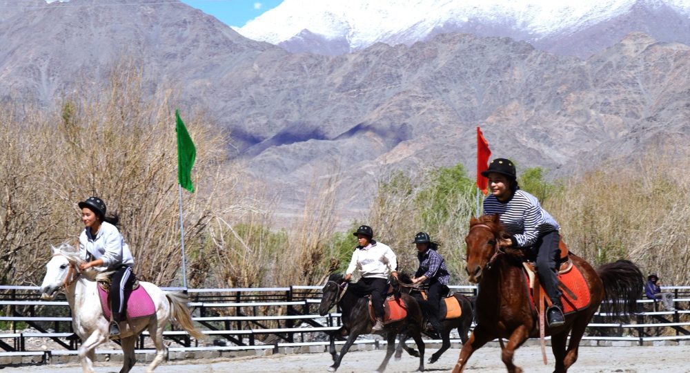 Ladakh UT witnessing revival of traditional sport Polo